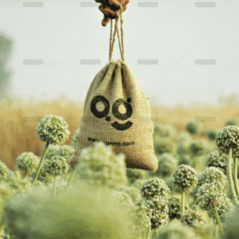 demo-attachment-2665-agrrro-organic-vArBGqX_EtY-unsplash-1-1